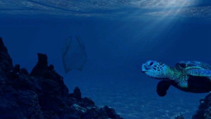 The Great Pacific Garbage Patch