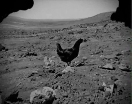 LEAKED real uncut NASA footage by Curiosity rover displaying life form on mars clear evidence)