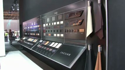 Un jour un stand Jaguar