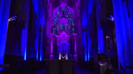 Luçon: la nuit des cathédrales