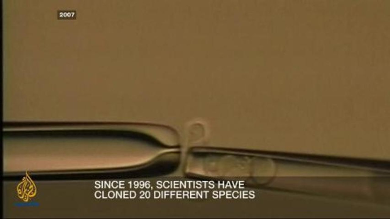 Inside Story - Back to the future: Cloning human stem cells