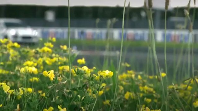 Porsche Cayenne Turbo S, essai sur circuit