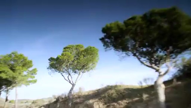 Trailer Mercedes E 63 AMG S4Matic