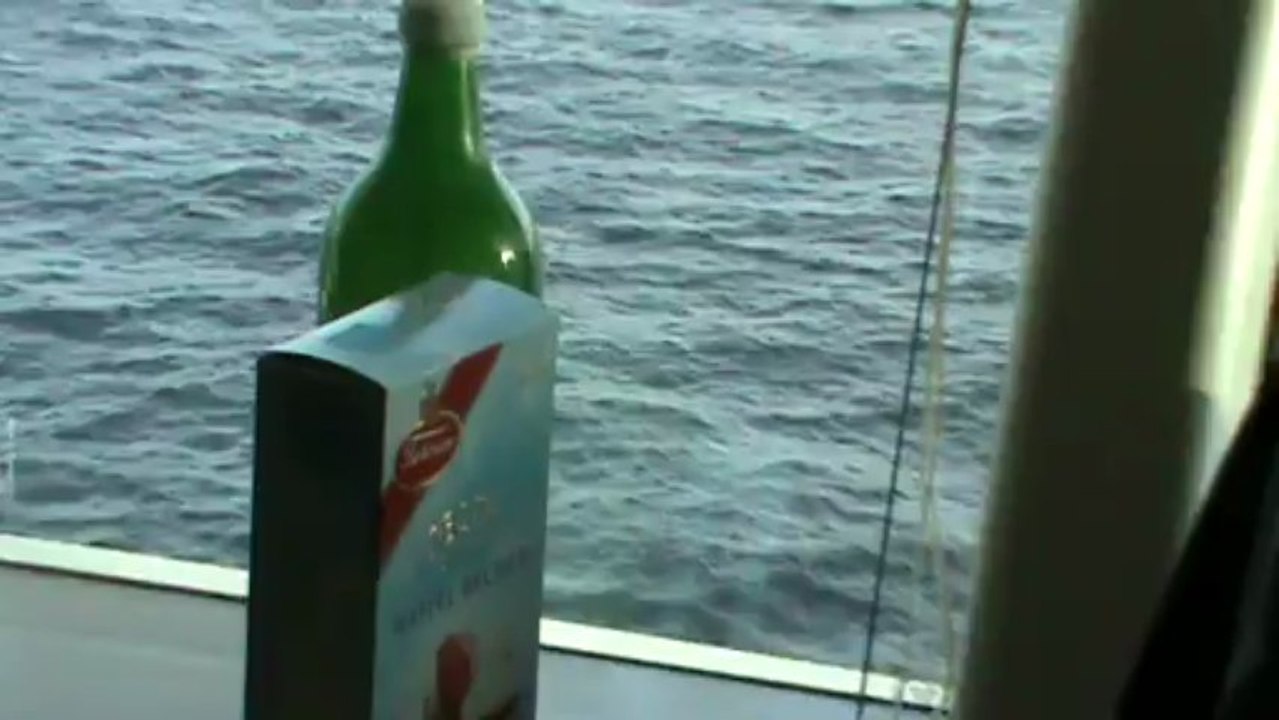 AIDAstella Hafen Reisebüro Fella  AIDAstella