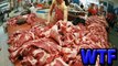 Wtf Rat Meat Sold as Lamb in China