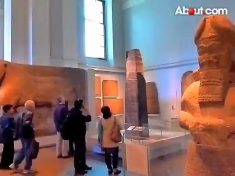 38 joe shuster way bed bugs