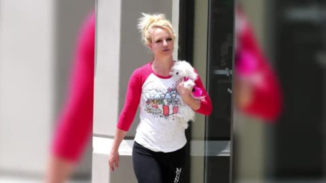 Britney Spears liebt Junk Food