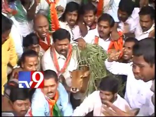 Government must protect cows - BJYM