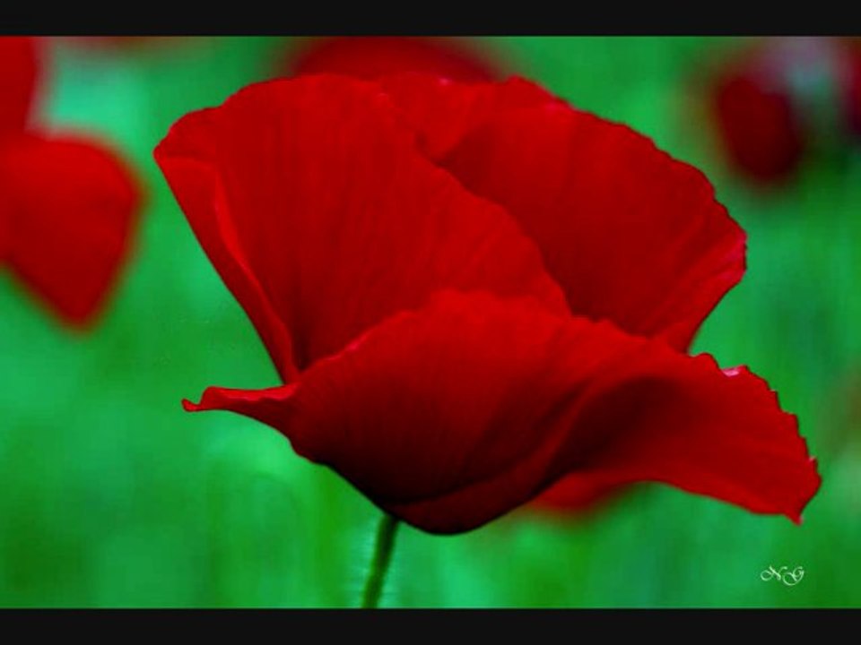 paganini sonate no:6