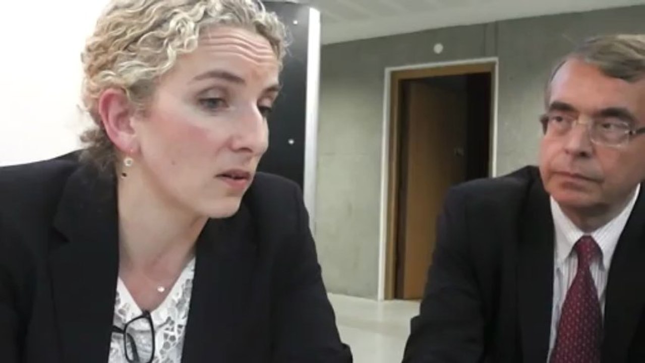 Delphine Batho, Ministre de l'Ecologie: la France votera les mesures européennes sur les importations chinoises