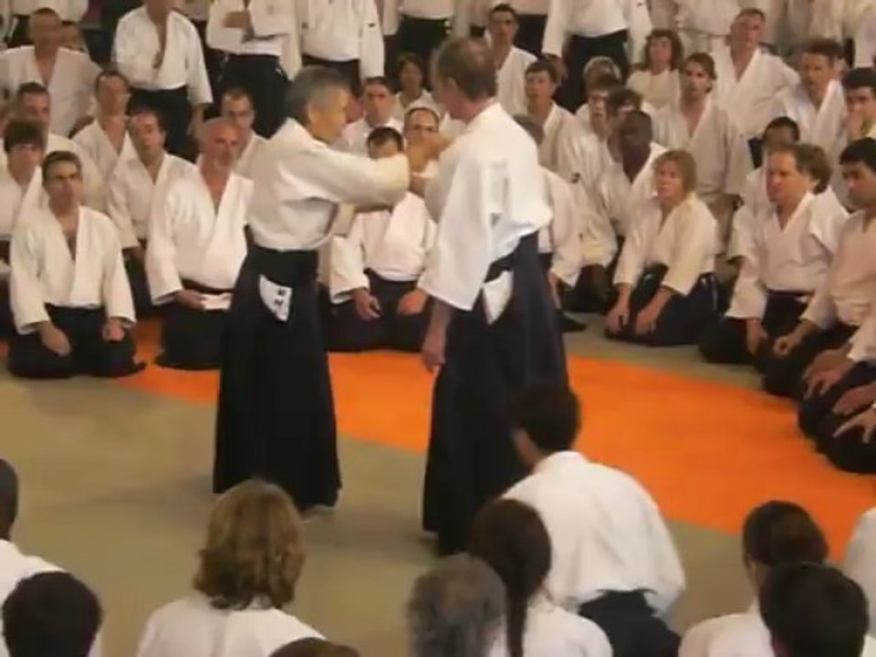 Tamura-sensei 2007 Colomiers 1