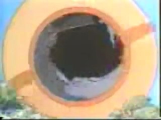 Les Animaux Du Bois De Quat Sous - Générique