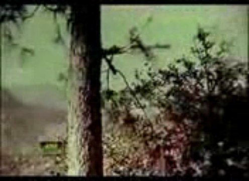 PYASI NIGAHON MEIN TERA INTIZAR - AARZOO - ( NOOR JEHAN ) By Aslam Nasir