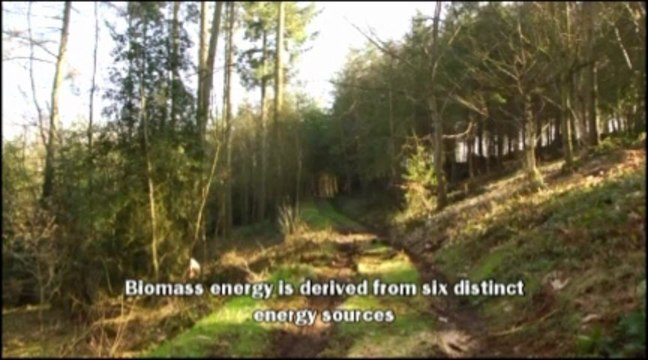 Gasification Of Biomass By Muhammad Faizan