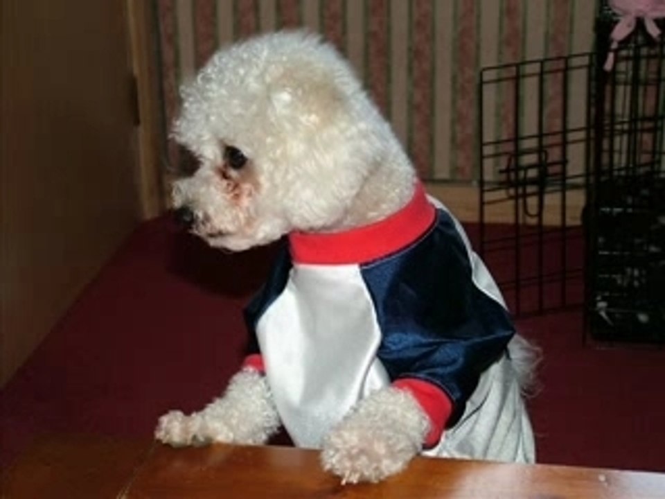 chacha