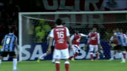 Copa Libertadores - La gran parada de Dida