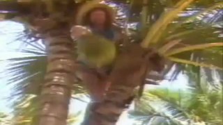 sunshine reggae -laid back subtitulos español(360p_H.264-AAC)