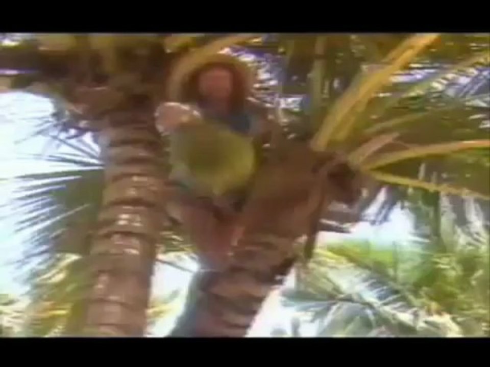 sunshine reggae -laid back subtitulos español(360p_H.264-AAC)
