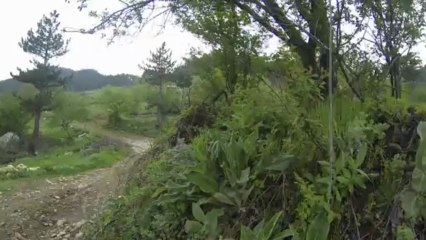 DEFENDER MANEVRA EDIT / UOF