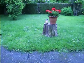 Chanel,harcelée par Babylone(lol)