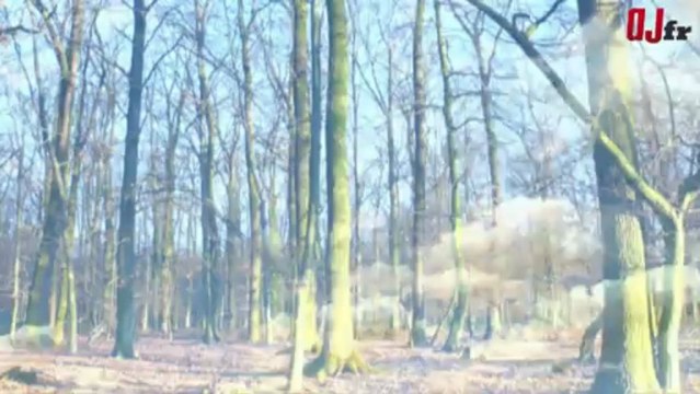 Mercedes Classe E cabriolet