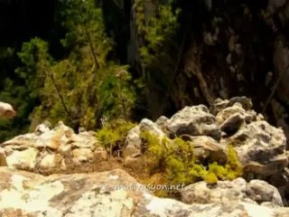 Öğrenmek Nasıl Olur_ - BBC The Human Mind