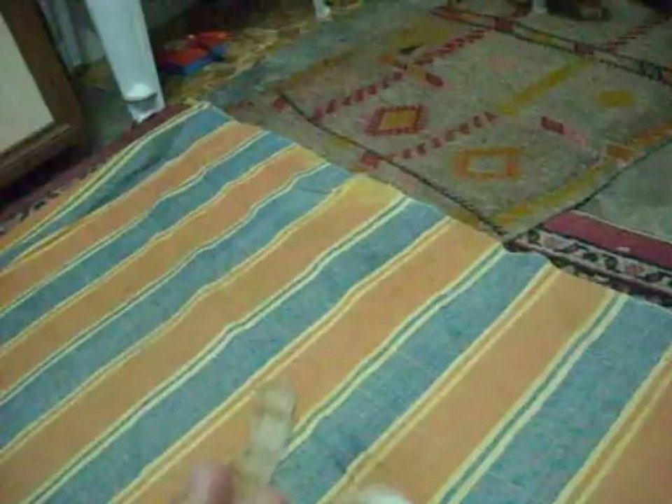sarı kız
