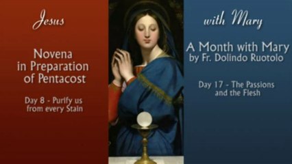 Purity in the Passions - 2 Pillars #29