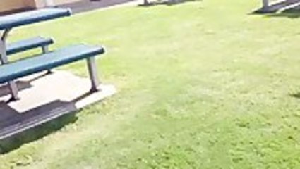 Old Man Kicks Venomous Snake Right In The Face