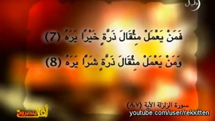 أفلا يتدبرون  إعجاز الله تعالى في خلق الذباب  4