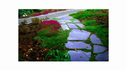 Landscaping Services Victoria