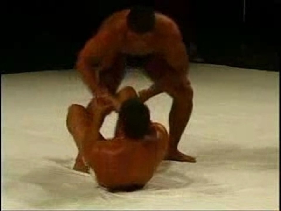 Saulo Ribeiro vs Ricardo Arona