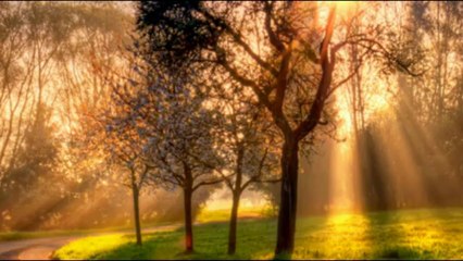 Don't You Walk Away - The Heat