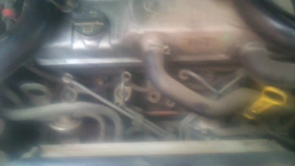 Ralenti Focus TDDI 2001