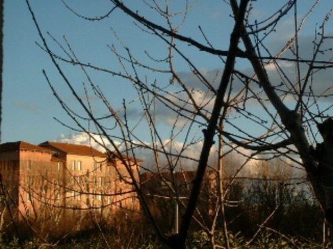 La cité Tase ,un quartier oublié de Vaulx en Velin