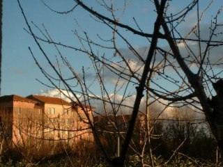 La cité Tase ,un quartier oublié de Vaulx en Velin