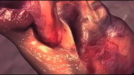 Nepali The Warrior (2013) SCR Rip Part1