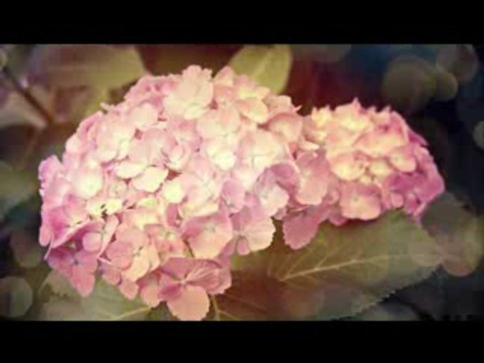 20130518MICHISIGE-SAYUMI,IKUBO-HARUNA,FUJIMOTO-MIKI 1/2