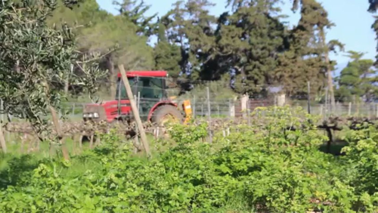 Inventaires des îles de Provence - Mission Iles Lerins - Initative PIM - Avril 2013