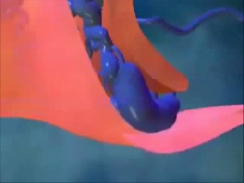 Soigner hémorroides SANS CONSULTATION - traitement naturelle