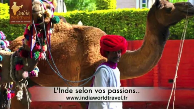 Voyage moto au Rajasthan | Circuits moto en Inde | Circuit moto au Rajasthn | India World Travel