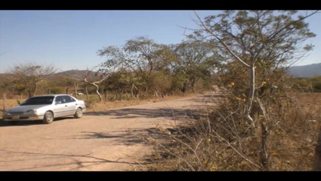 Venta de Terreno en Jesus de Otoro Intibuca, Santo Domingo