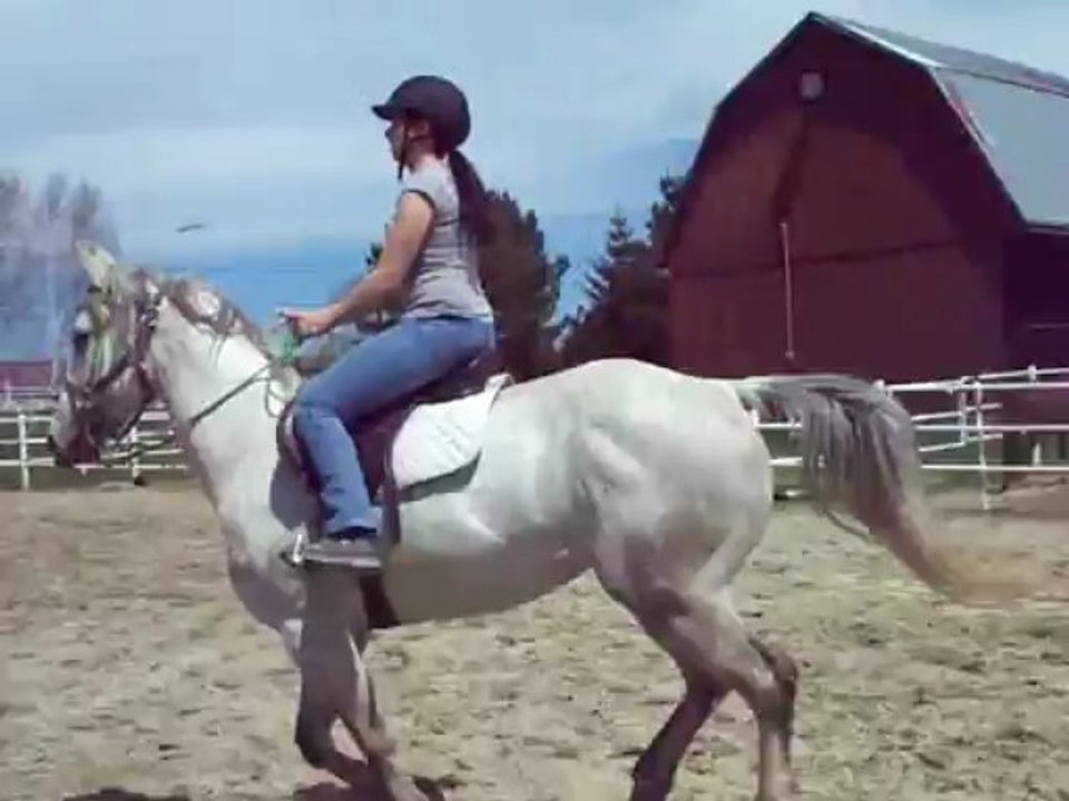 King saut 18-05-13