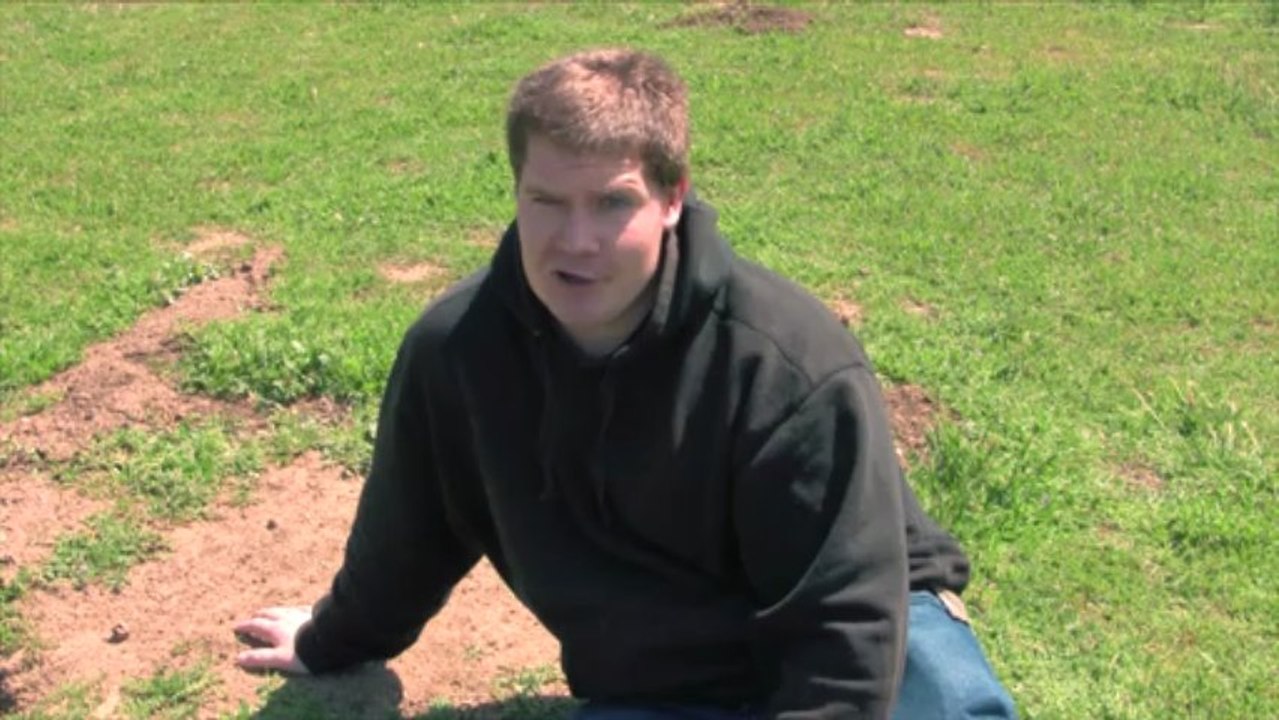 SPALLS Ep 2 - Answers