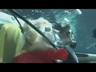 Rinspeeds first underwater car