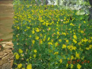 Ait Elmane آيت المان