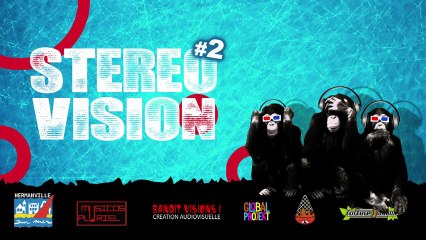 REPORT STEREO-VISION 2013