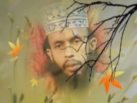 Spongia tosta Homeopathic Materia Medica Lecture Dr Bashir Mahmud Ellias