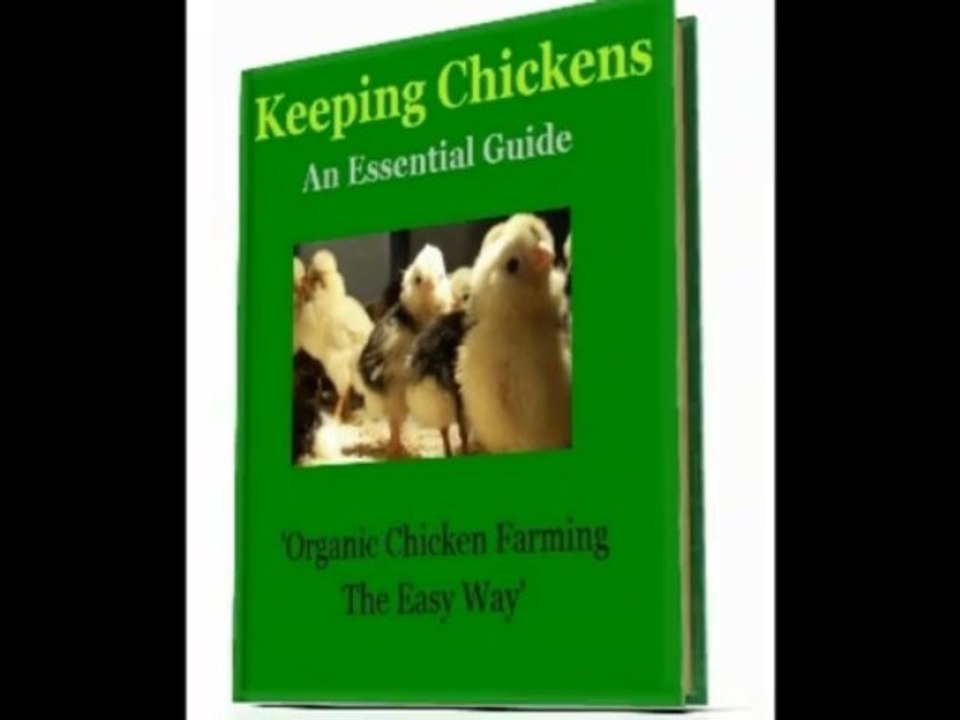 Writing A Bestseller: Part 2