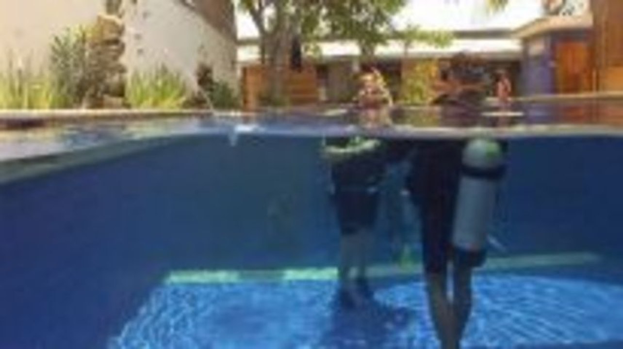 Dive Timor Lorosae